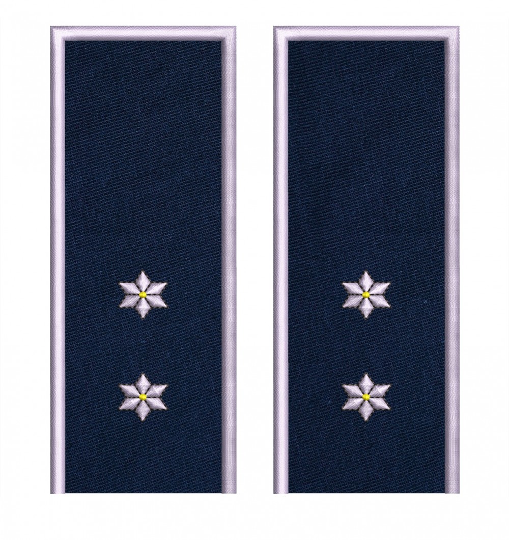 GRADE INSPECTOR POLITIE IGPR